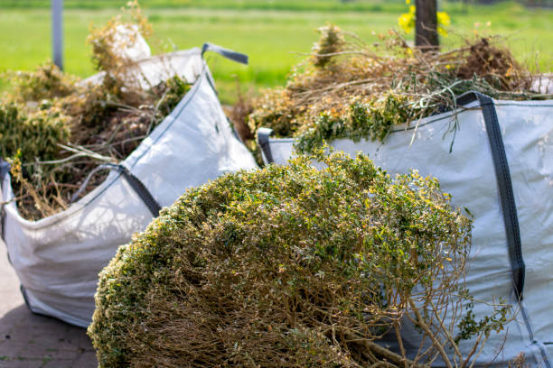Best Shed Removal  in Hickman, NE